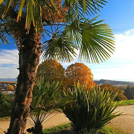 Adour Otel Pau
